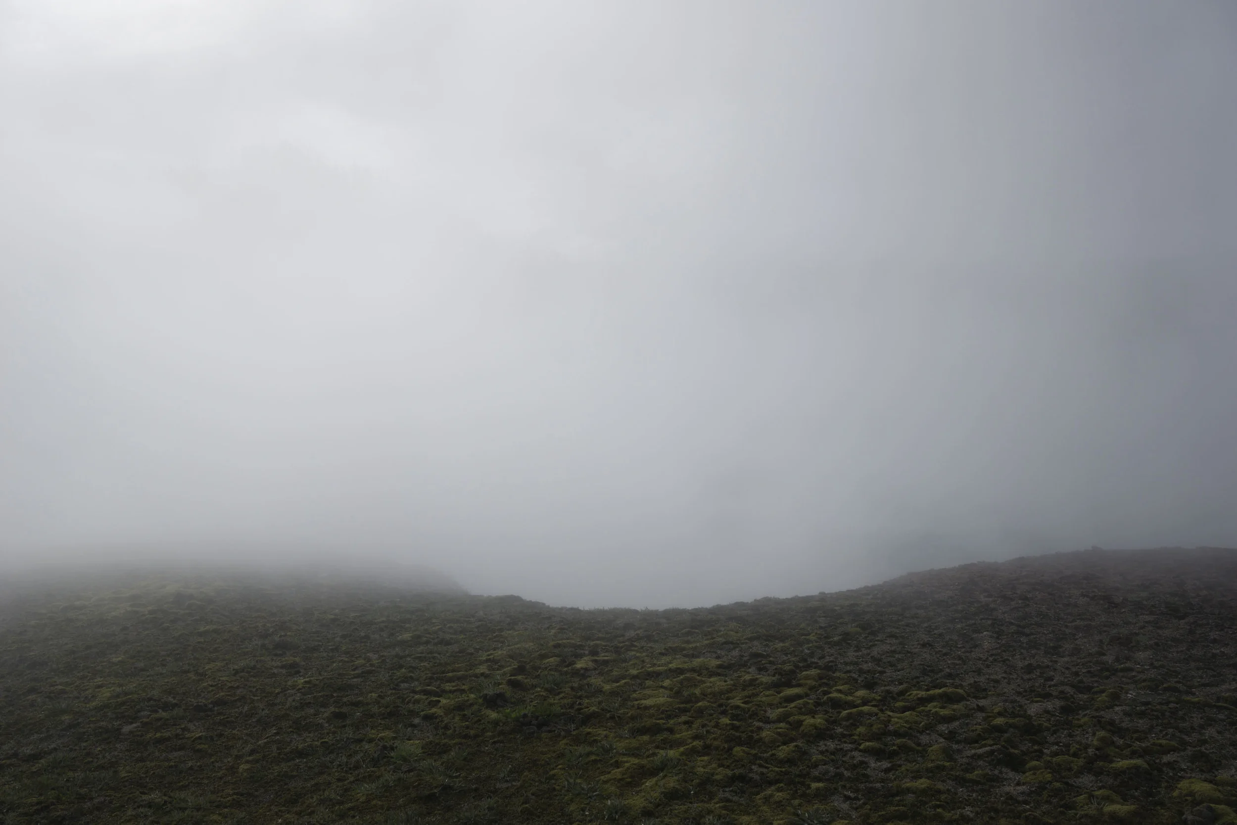 _DSC0952.jpg