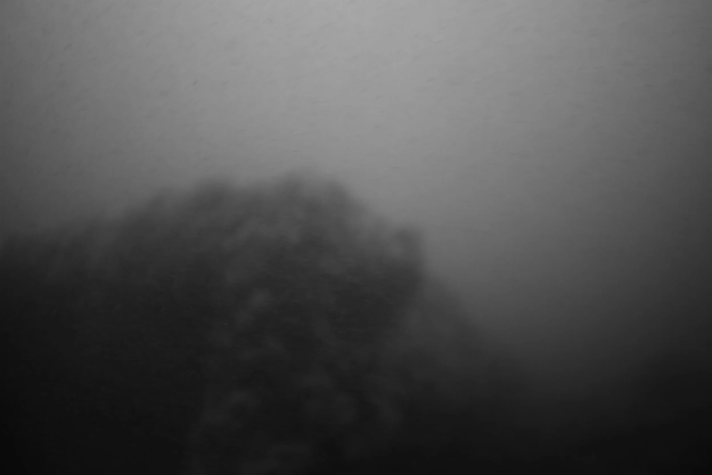_MG_0291.jpg
