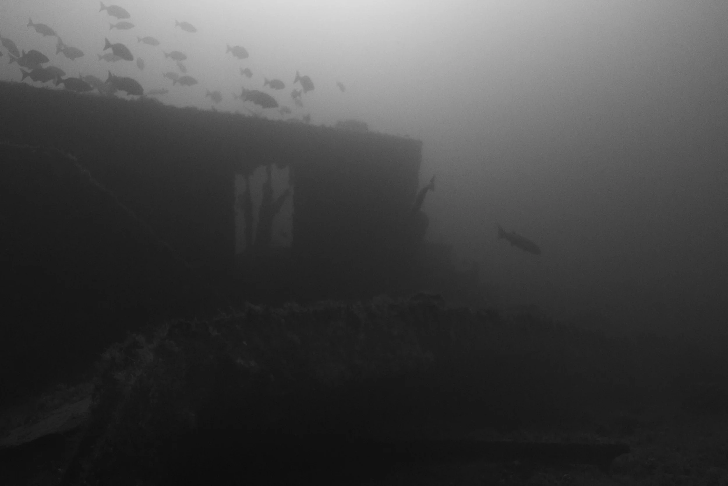 _MG_5080.jpg