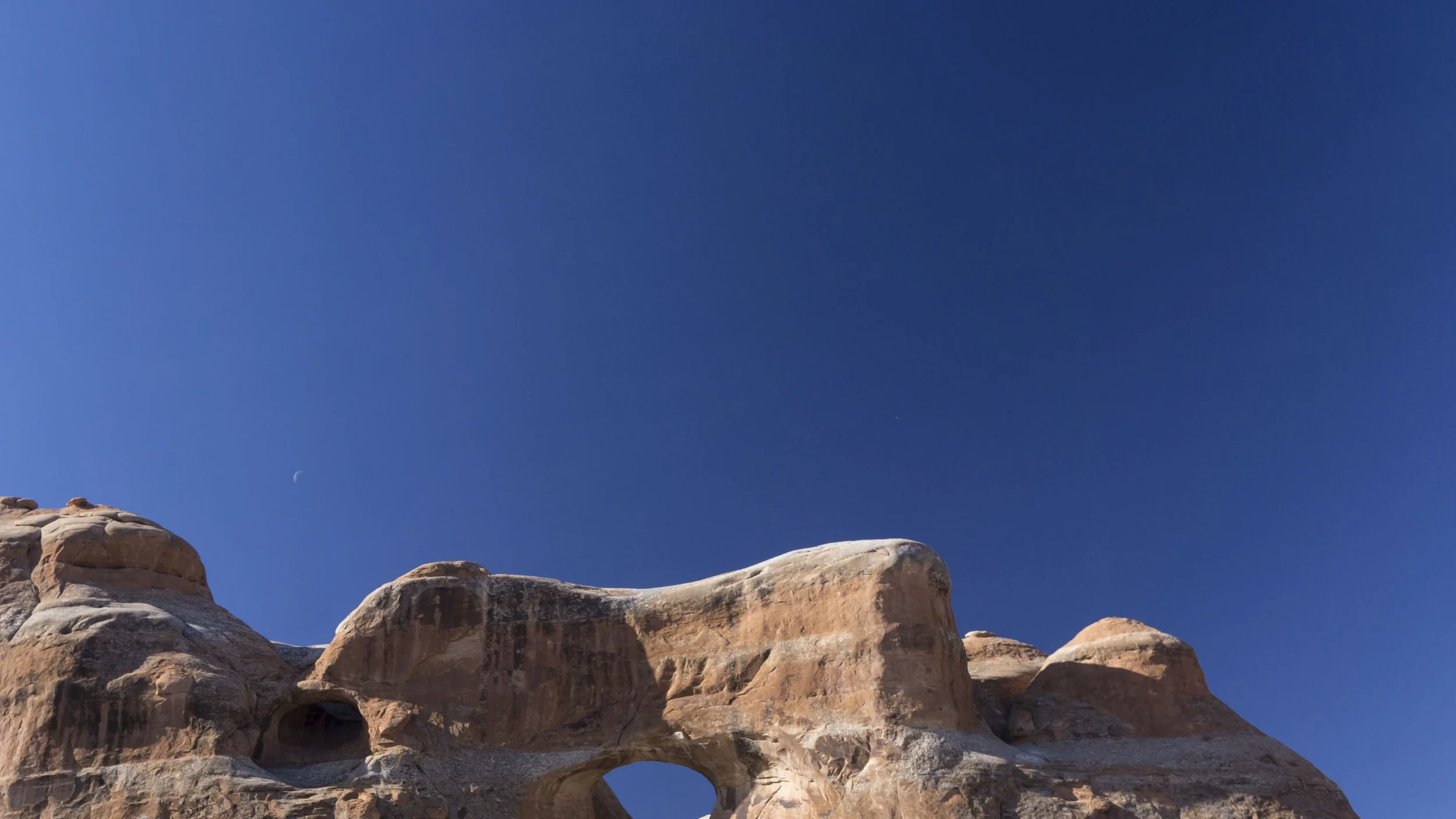 _DSC3632.jpg