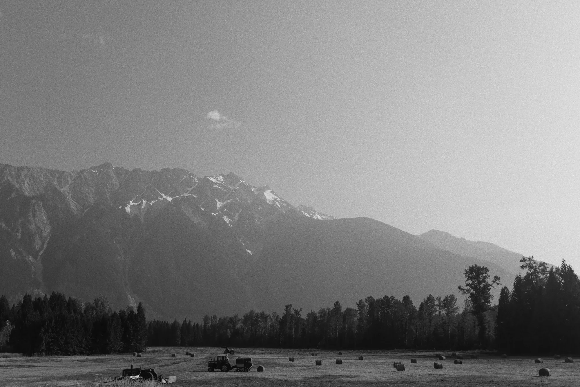 _DSC4906.jpg