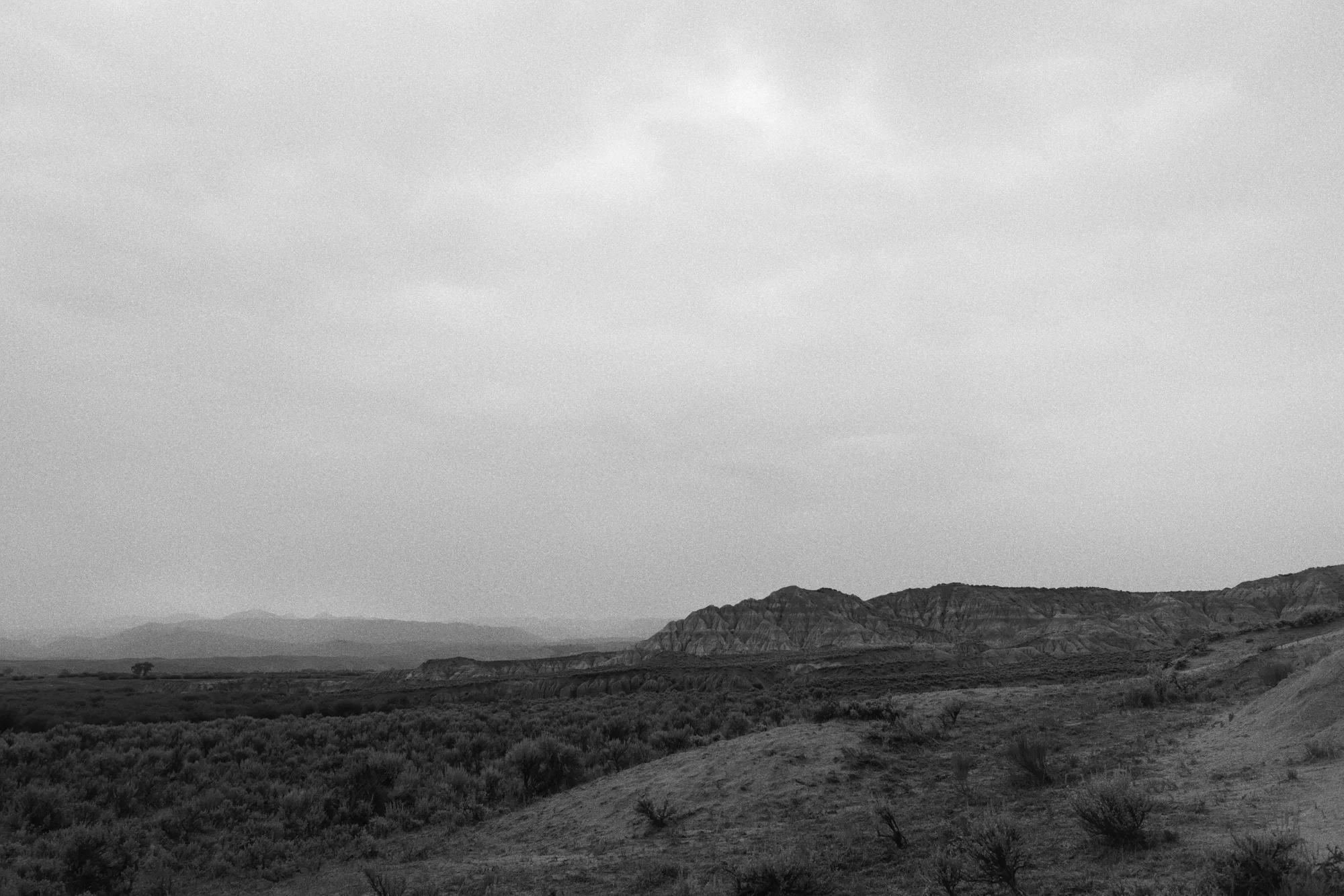 _DSC5420.jpg