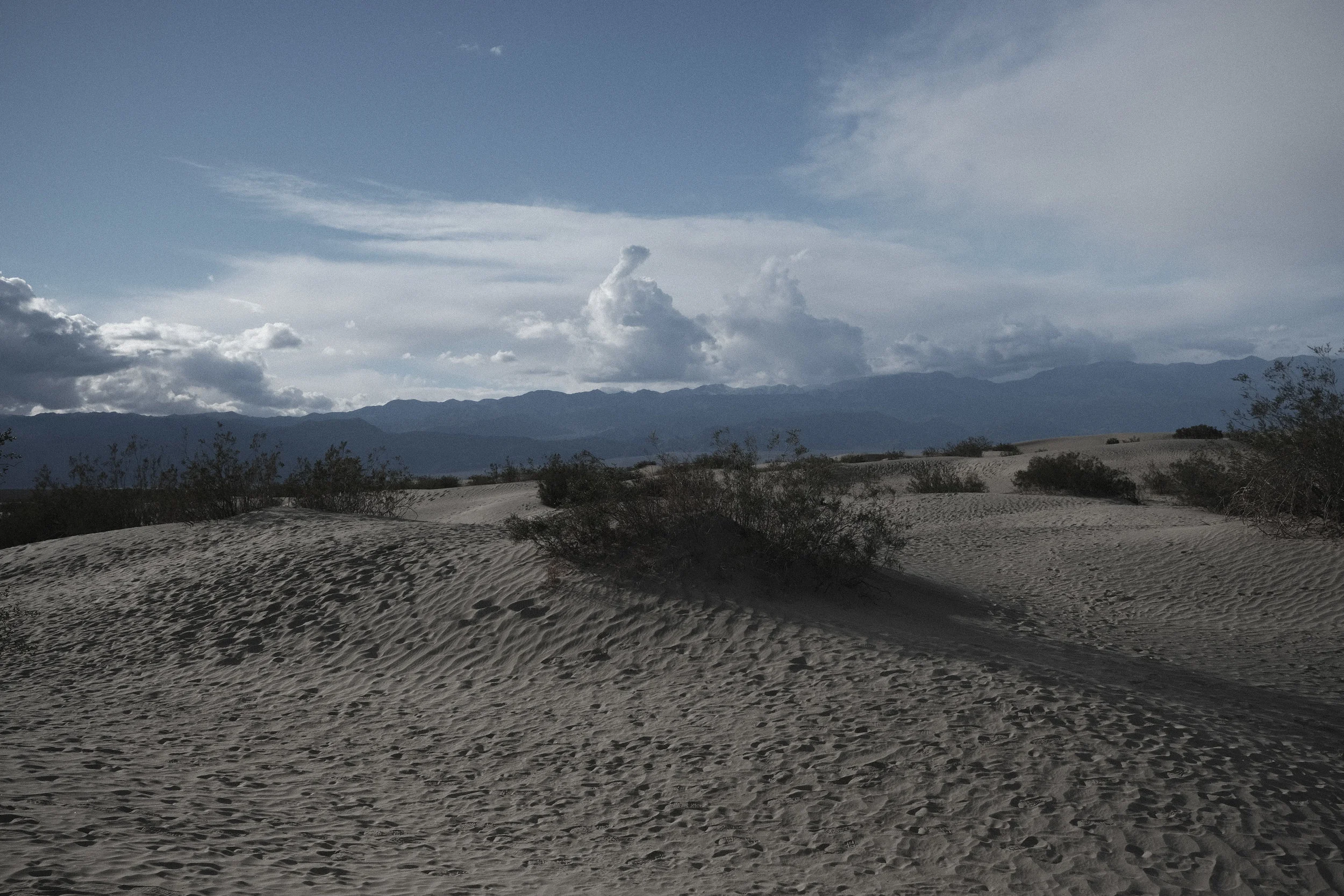_DSF0971_1.jpg