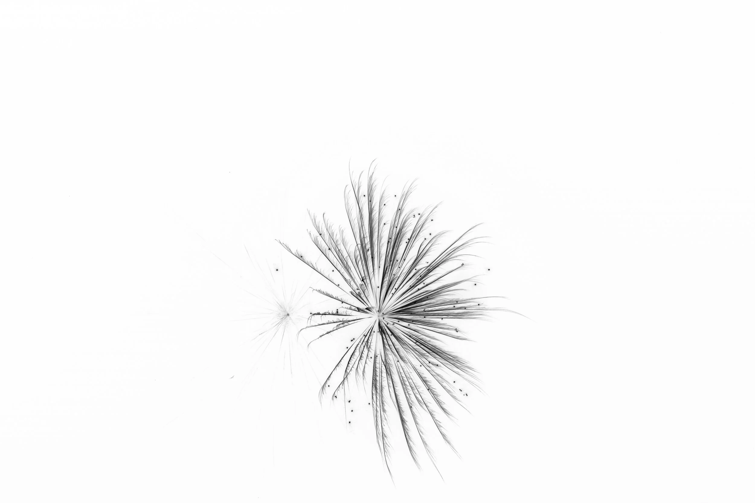 AB1I8313_1.jpg