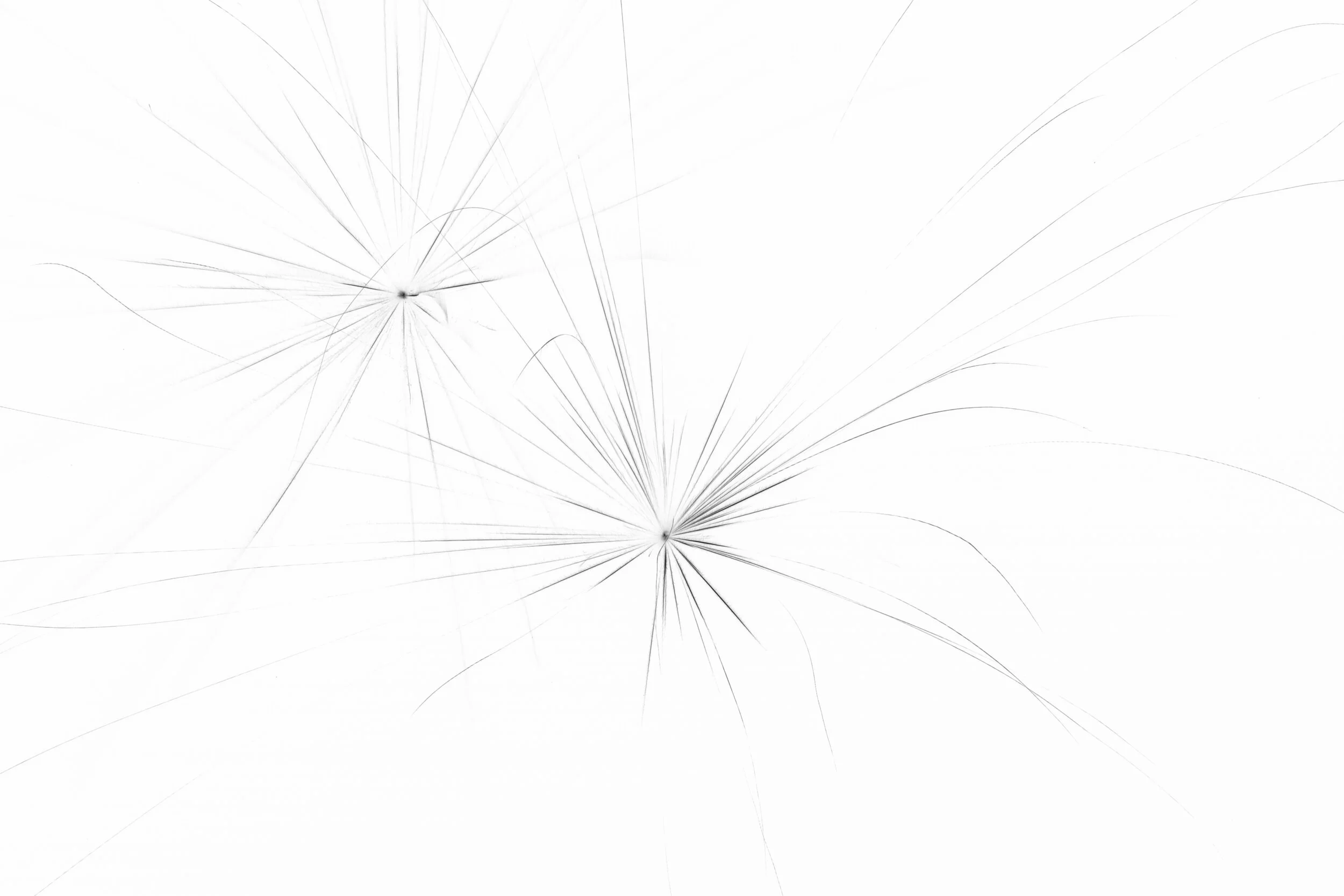 AB1I8289_1.jpg