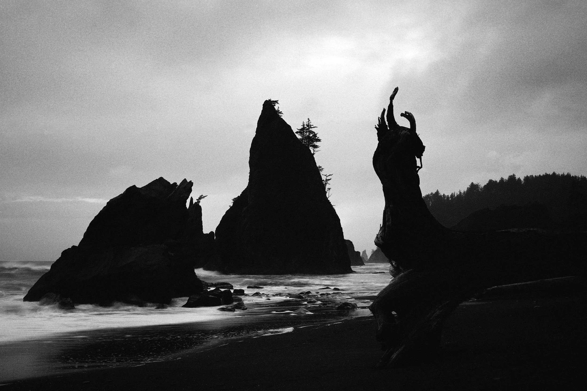 PNW_6_16.jpg