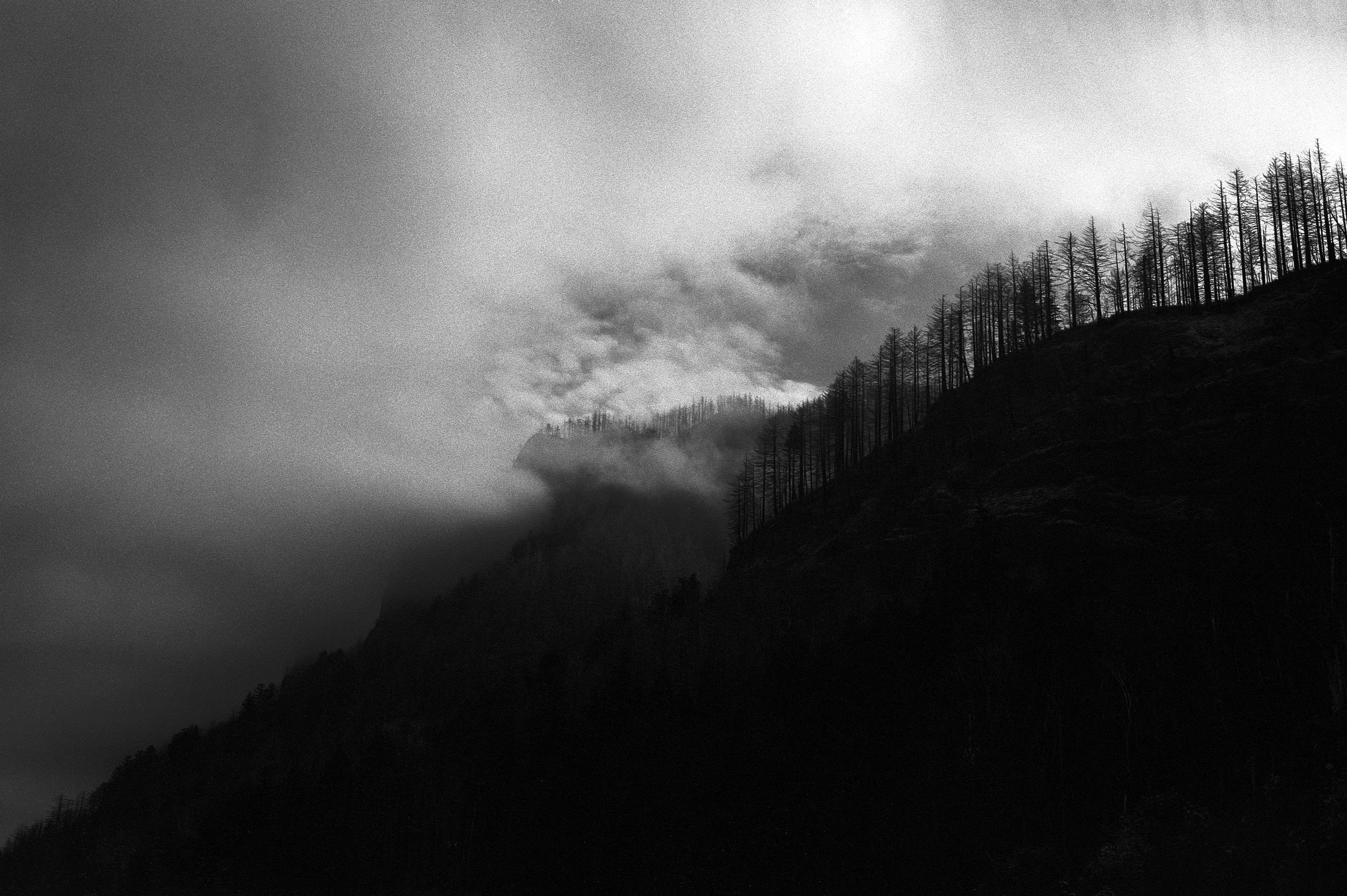 PNW_11_4.jpg