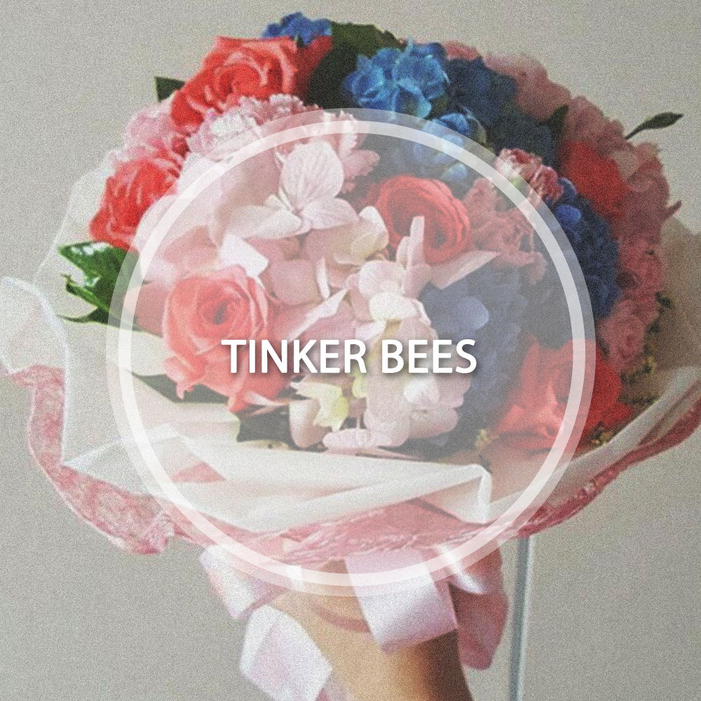 COVER_tinkerbees.jpg