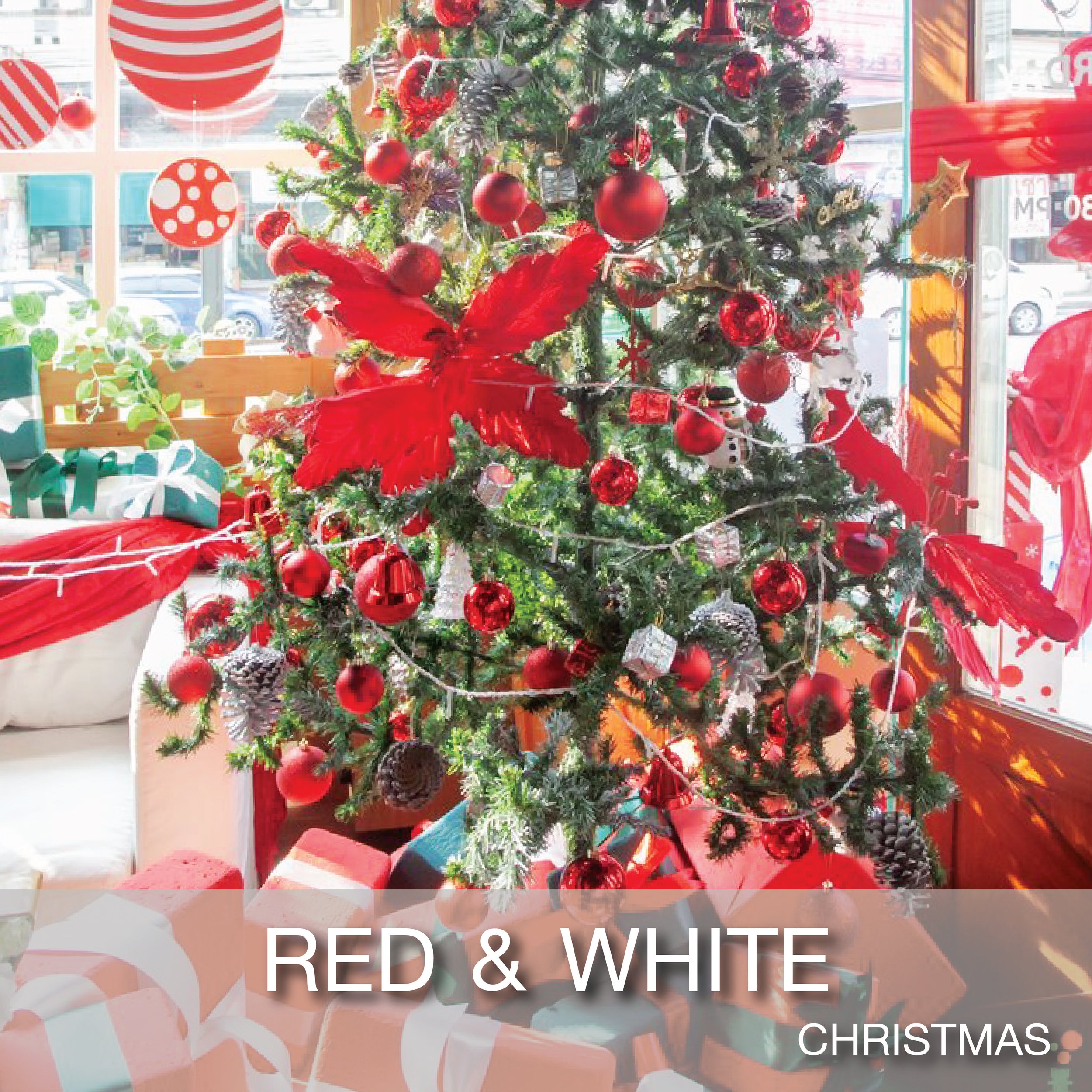 Cover_Popular Theme_Christmas-Red & White-01.jpg