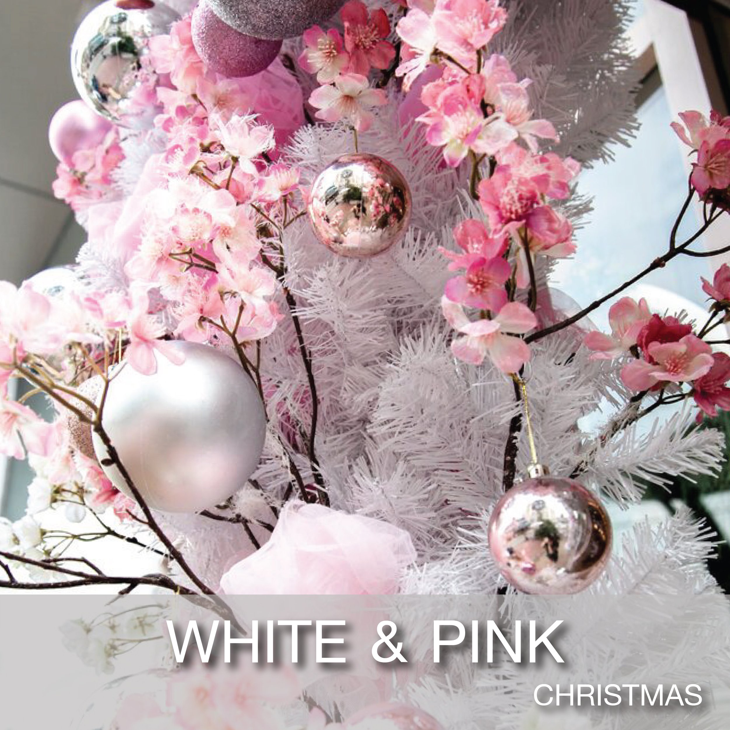 Cover_Popular Theme_Christmas-White & Pink-01.jpg