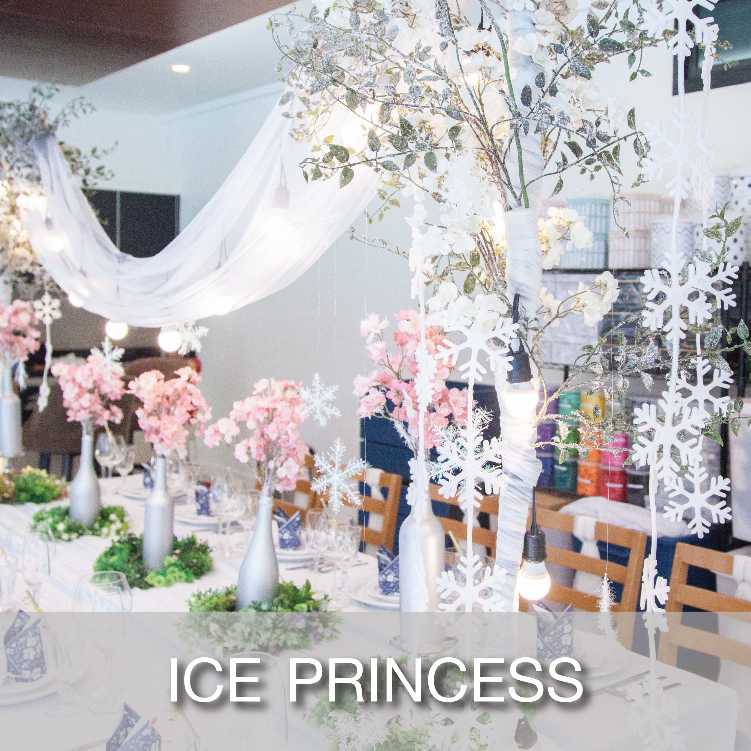 Cover_Popular Theme_Ice Princess-01.jpg