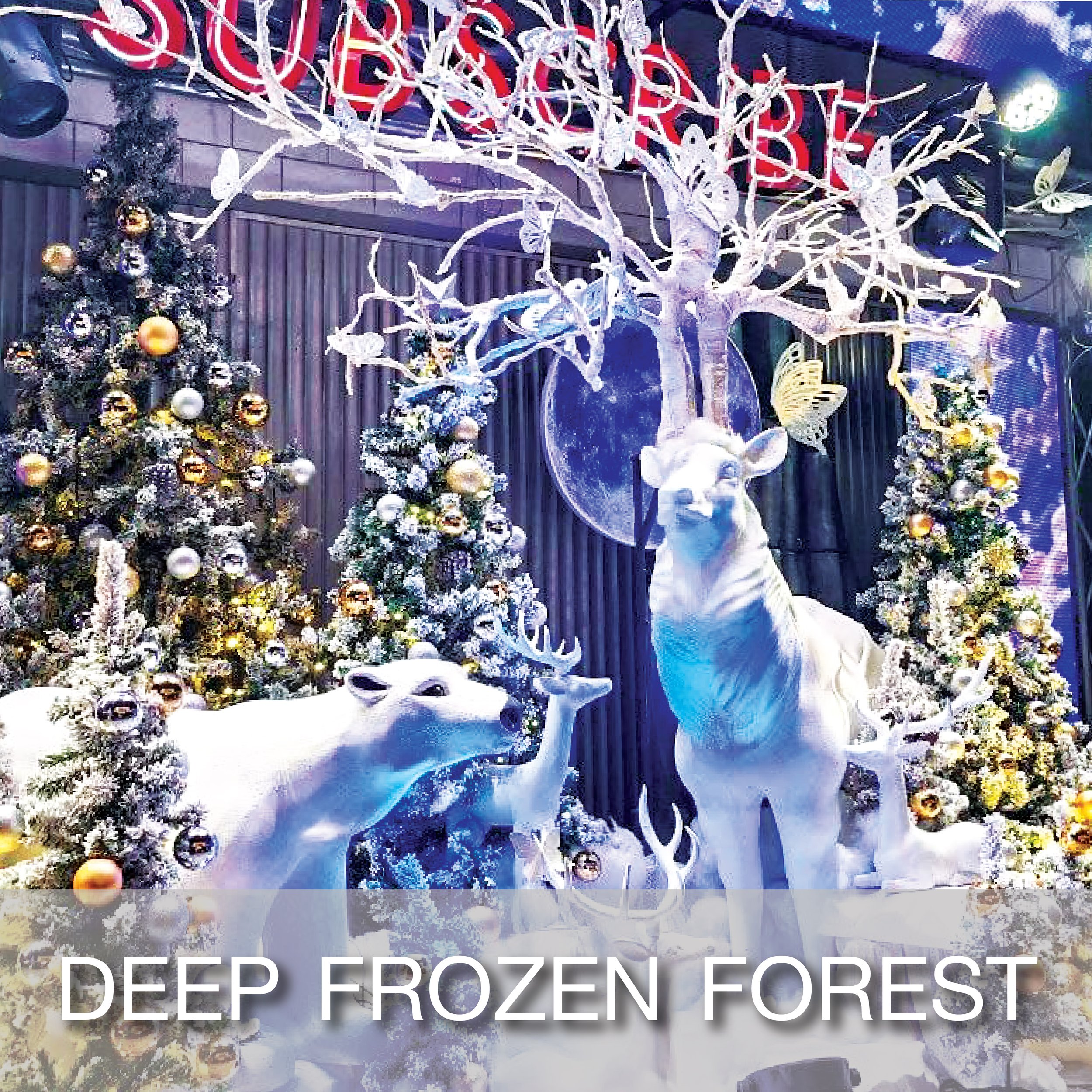 Cover_Popular Theme_Deep Frozen Forest-01.jpg