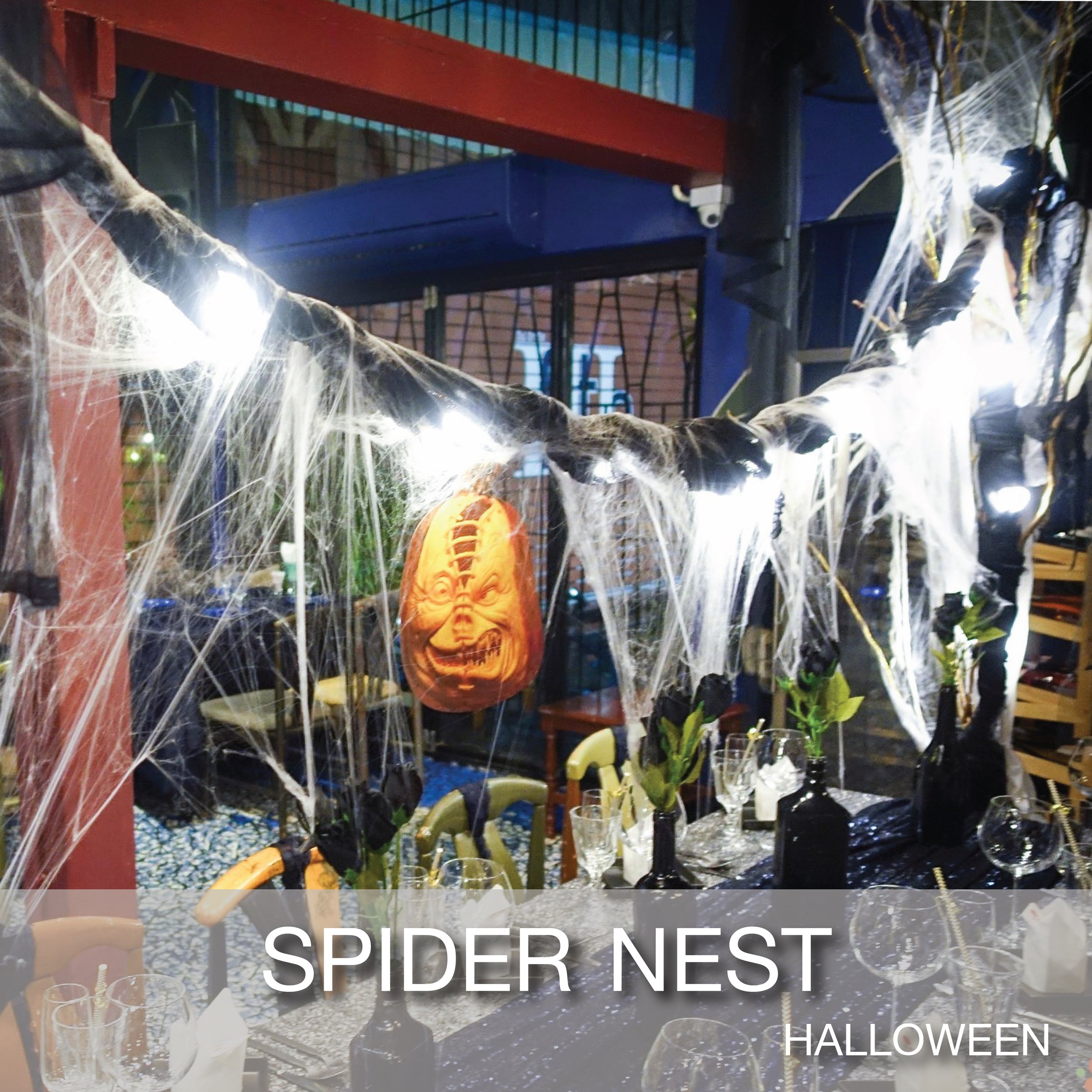 Cover_Popular Theme_Halloween-Spider Nest-01.jpg