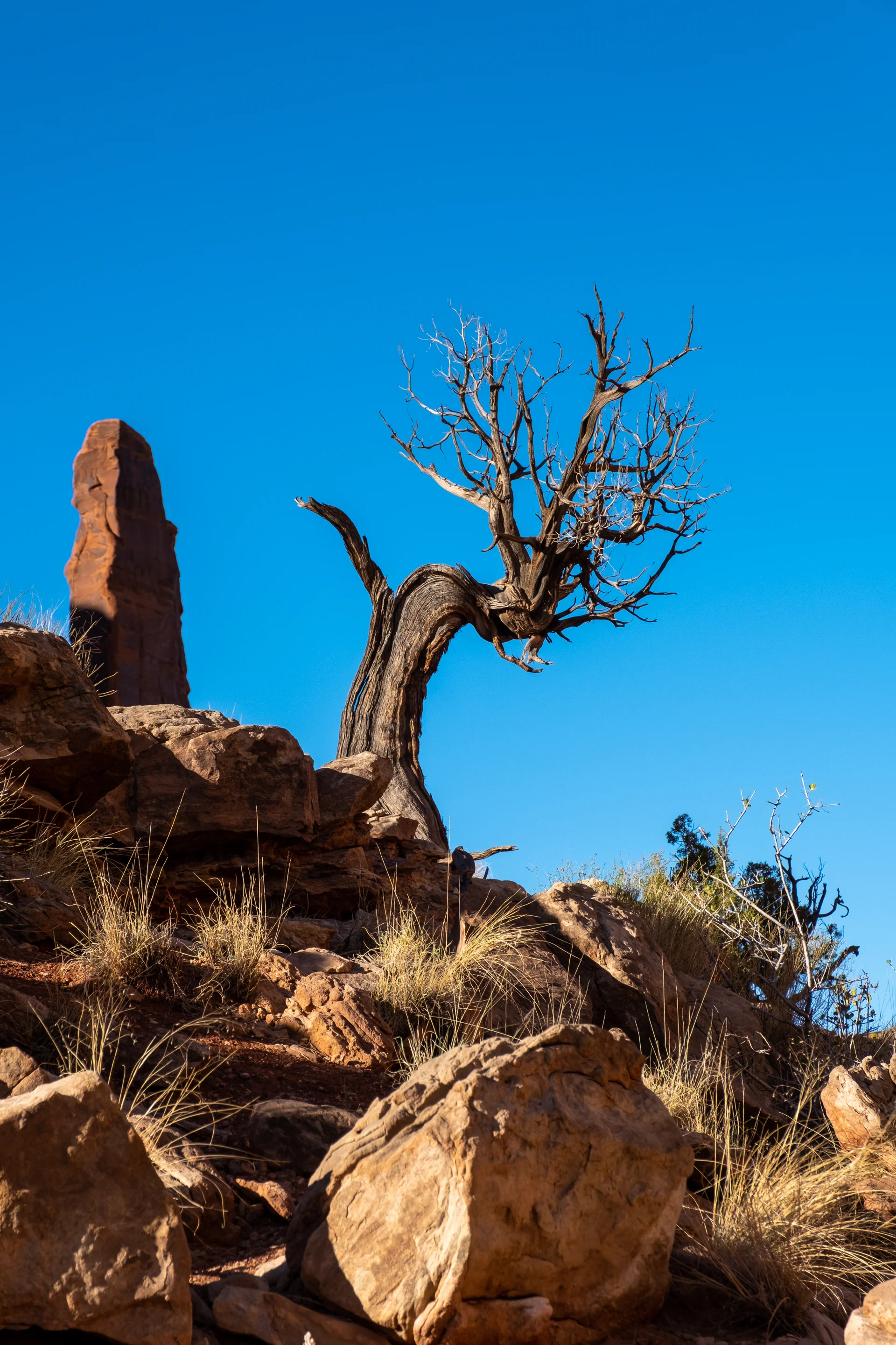 Moab Tight Edit_15.jpg