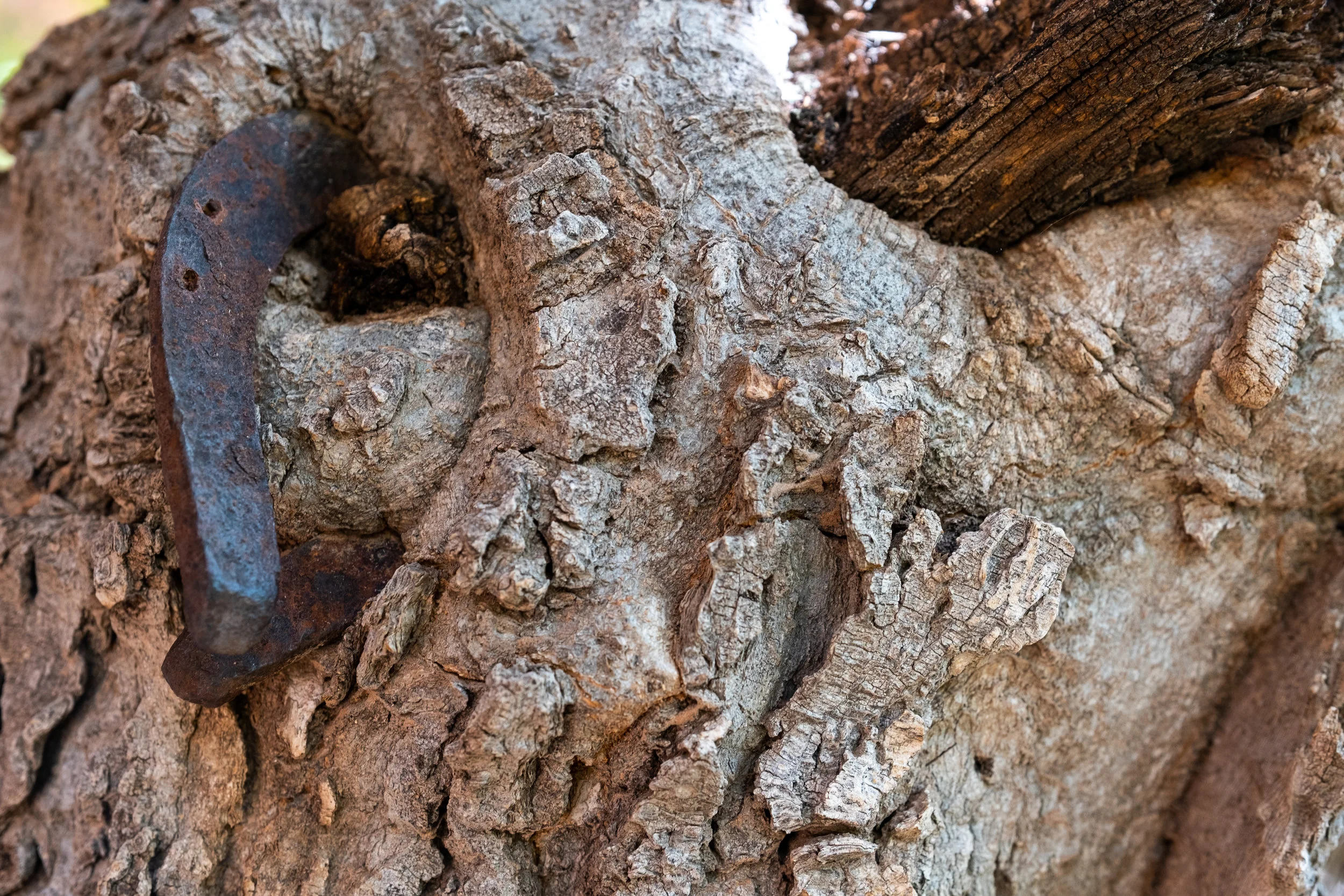 Moab Tight Edit_35.jpg