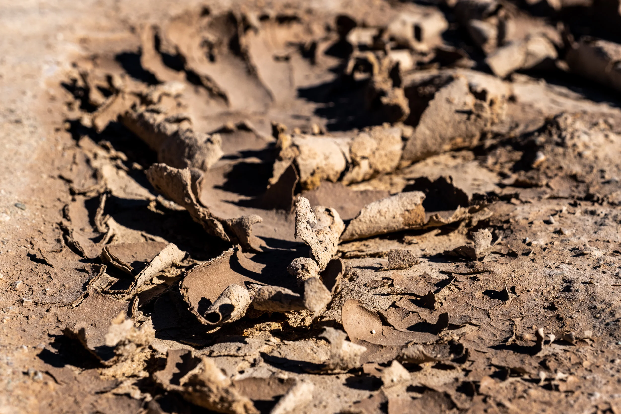 Moab Tight Edit_47.jpg