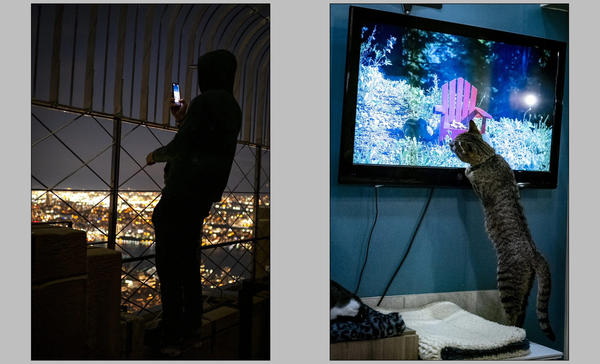 Diptychs V4-03.jpg