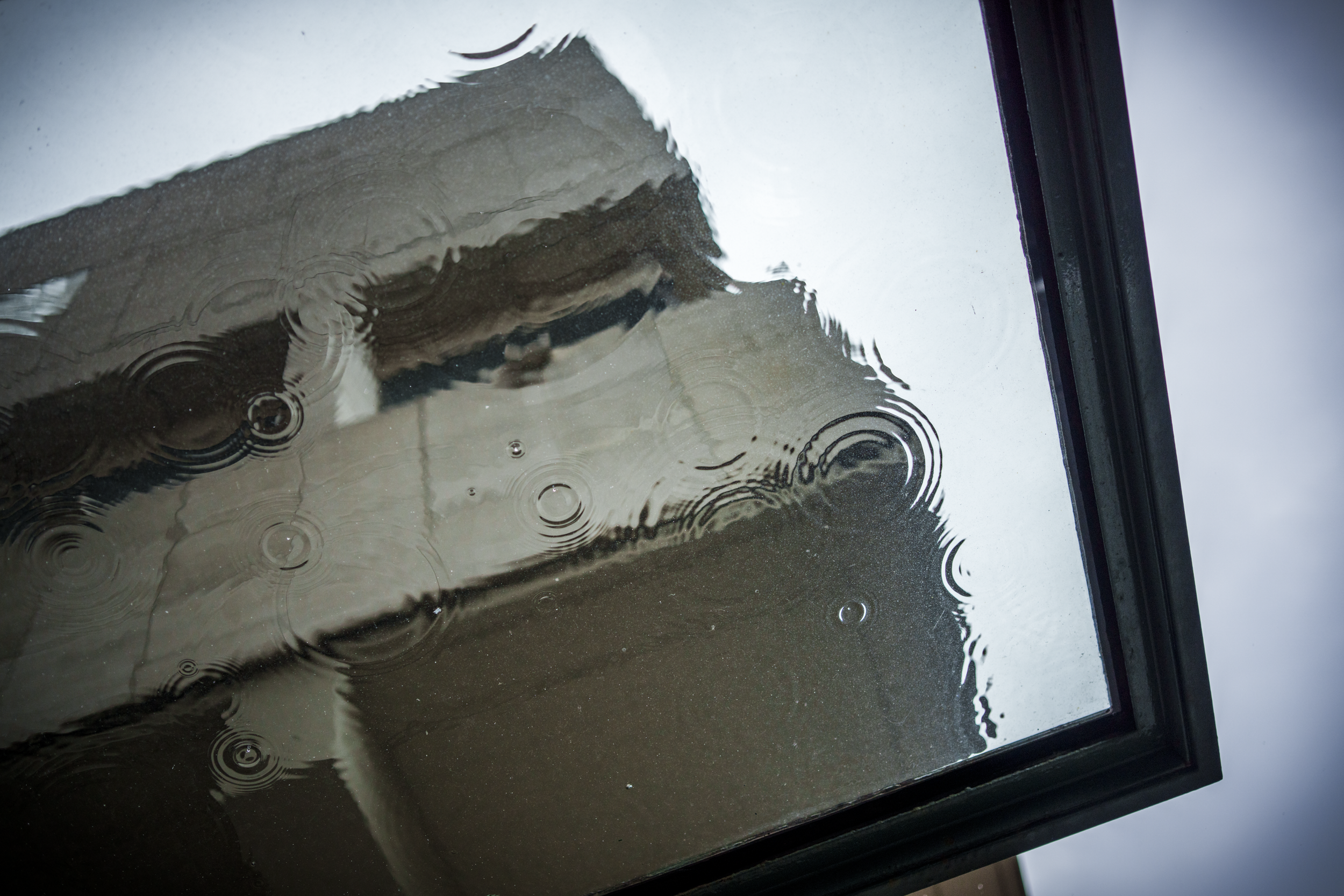 20260627-_DSC0883.png
