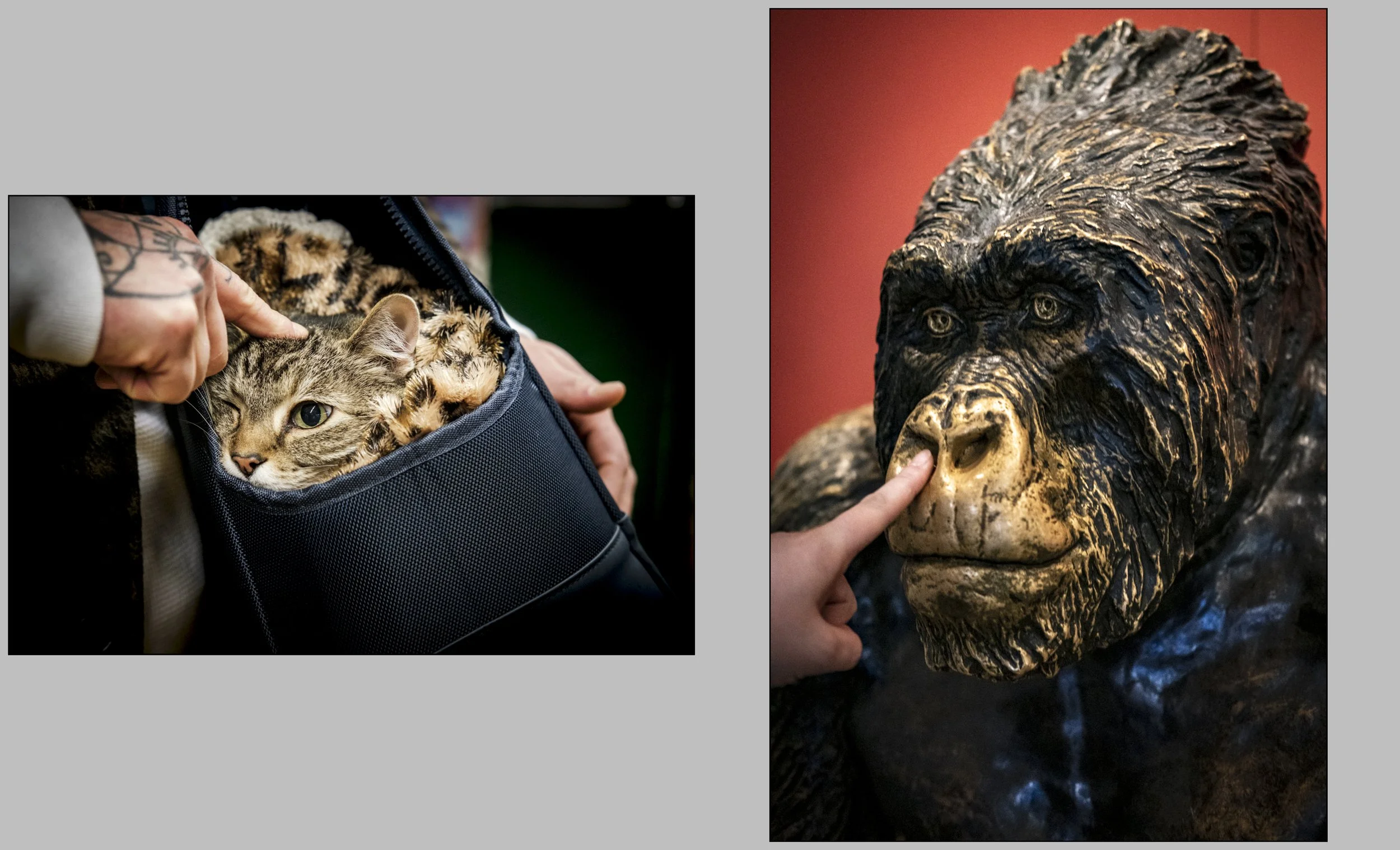 Diptychs-10.jpg