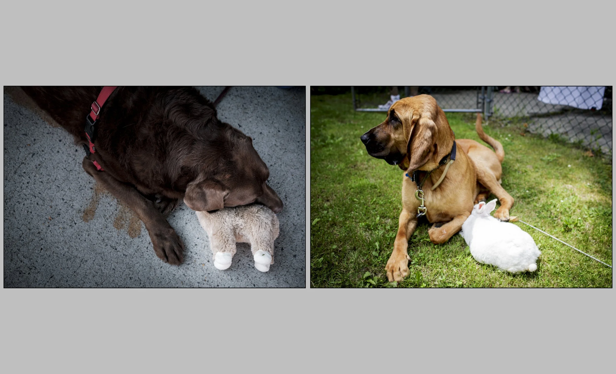 Diptychs-19.jpg