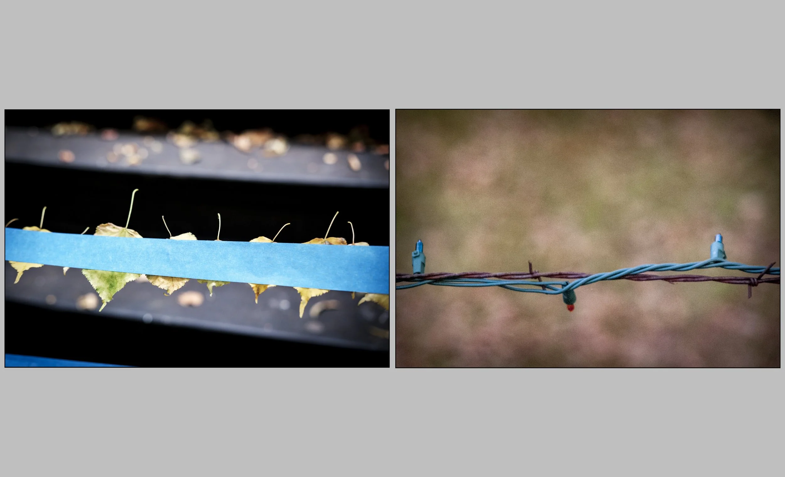Diptychs-31.jpg