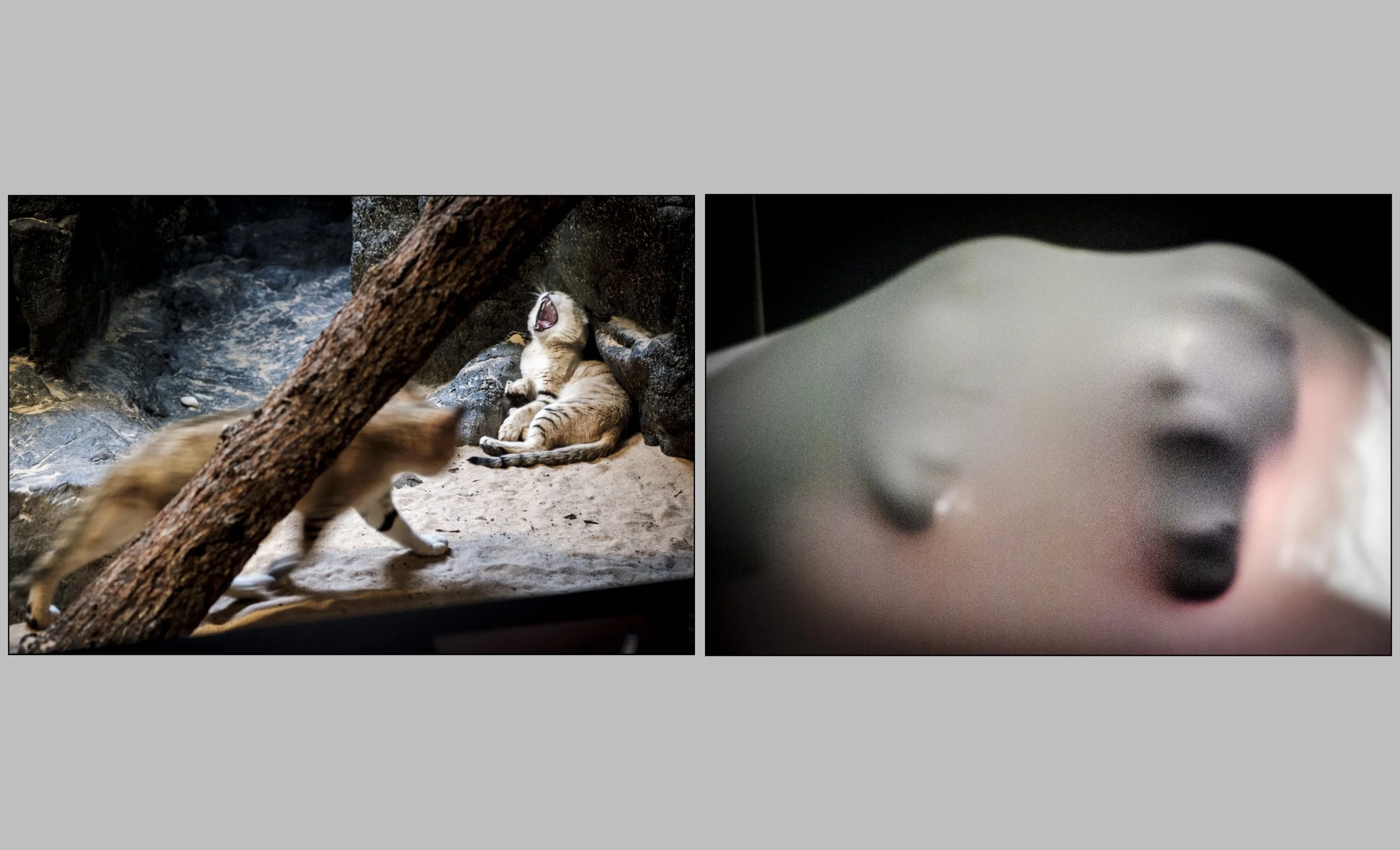 Diptychs-43.jpg
