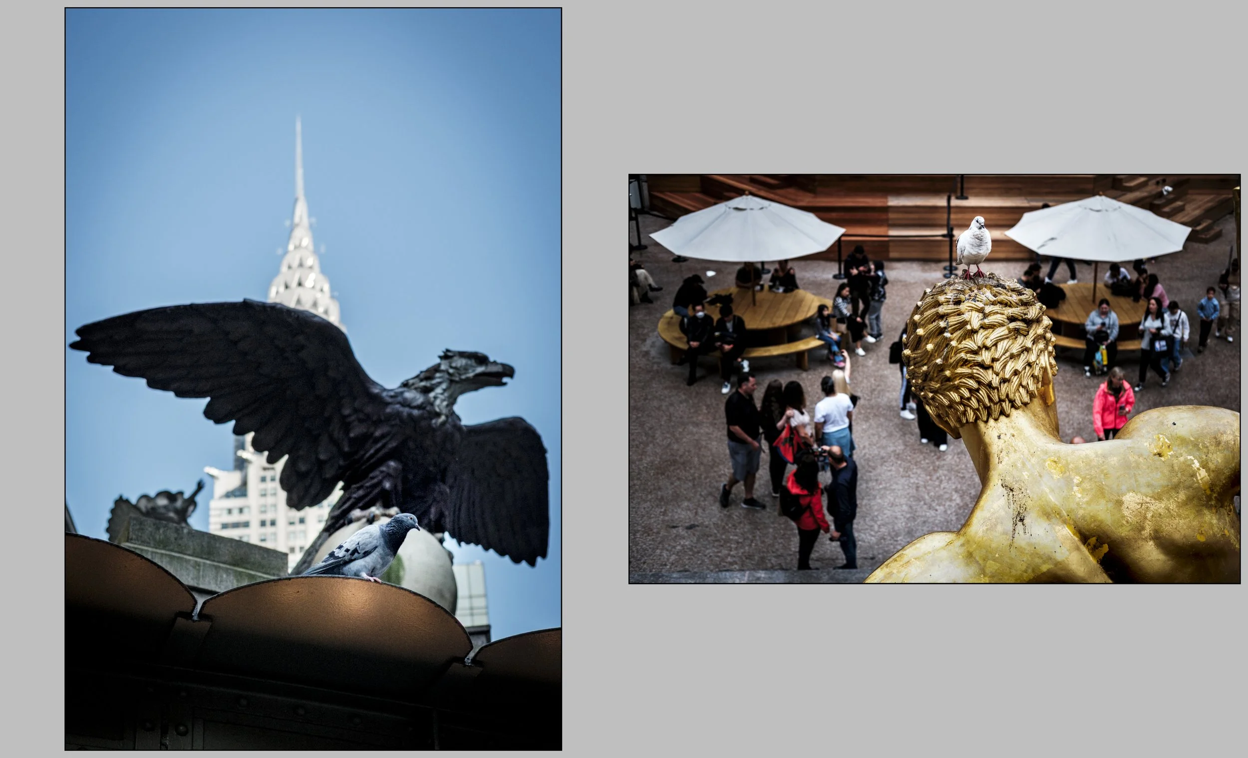 Diptychs-50.jpg