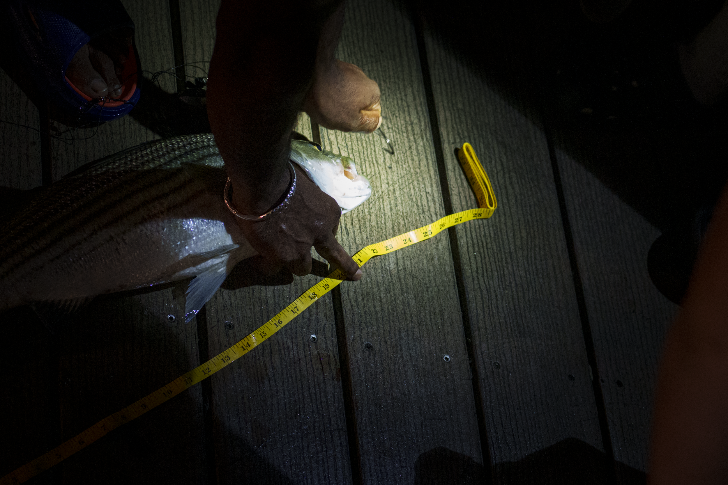 20260814-_DSC3473.png