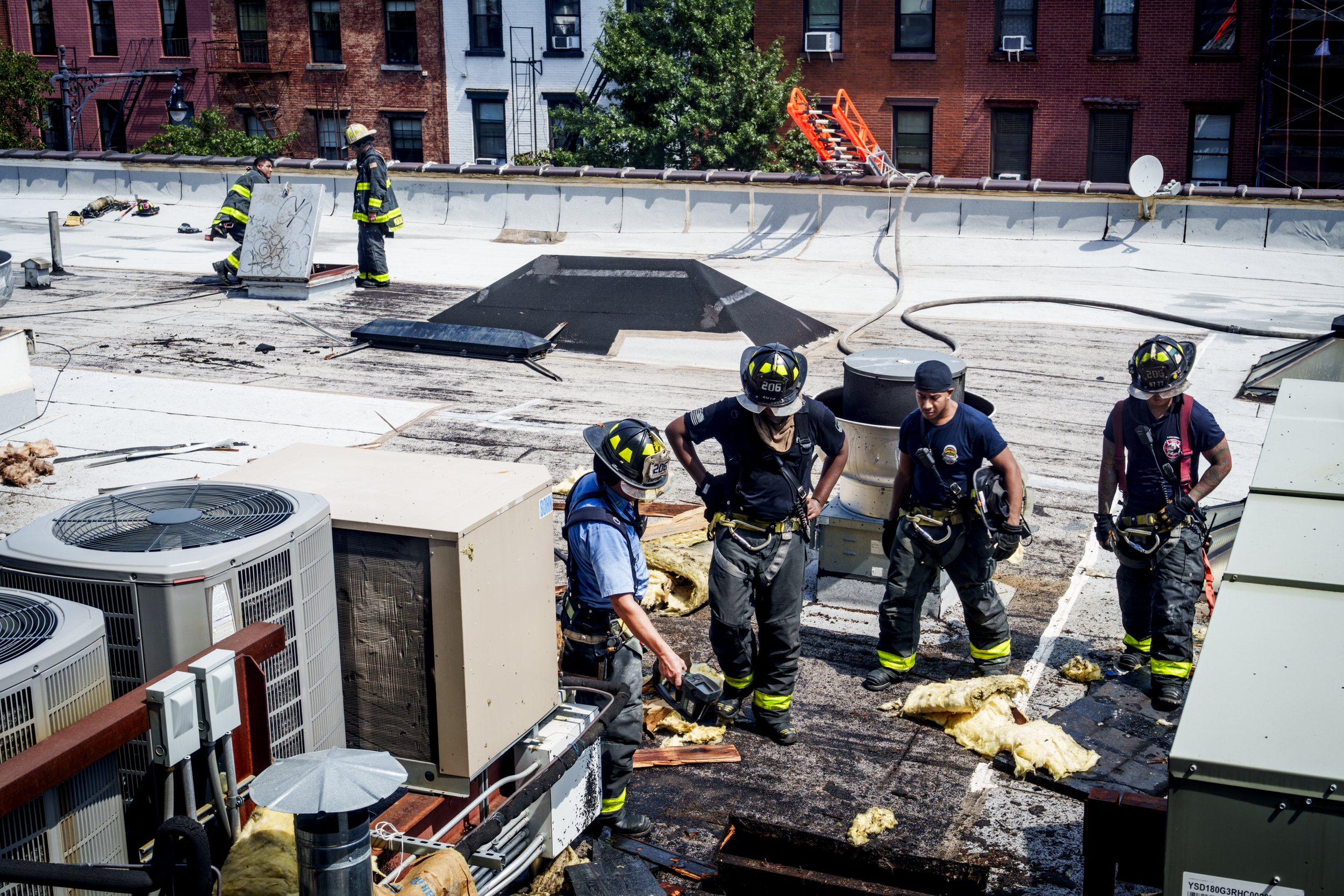 20260828-_DSC4564.png