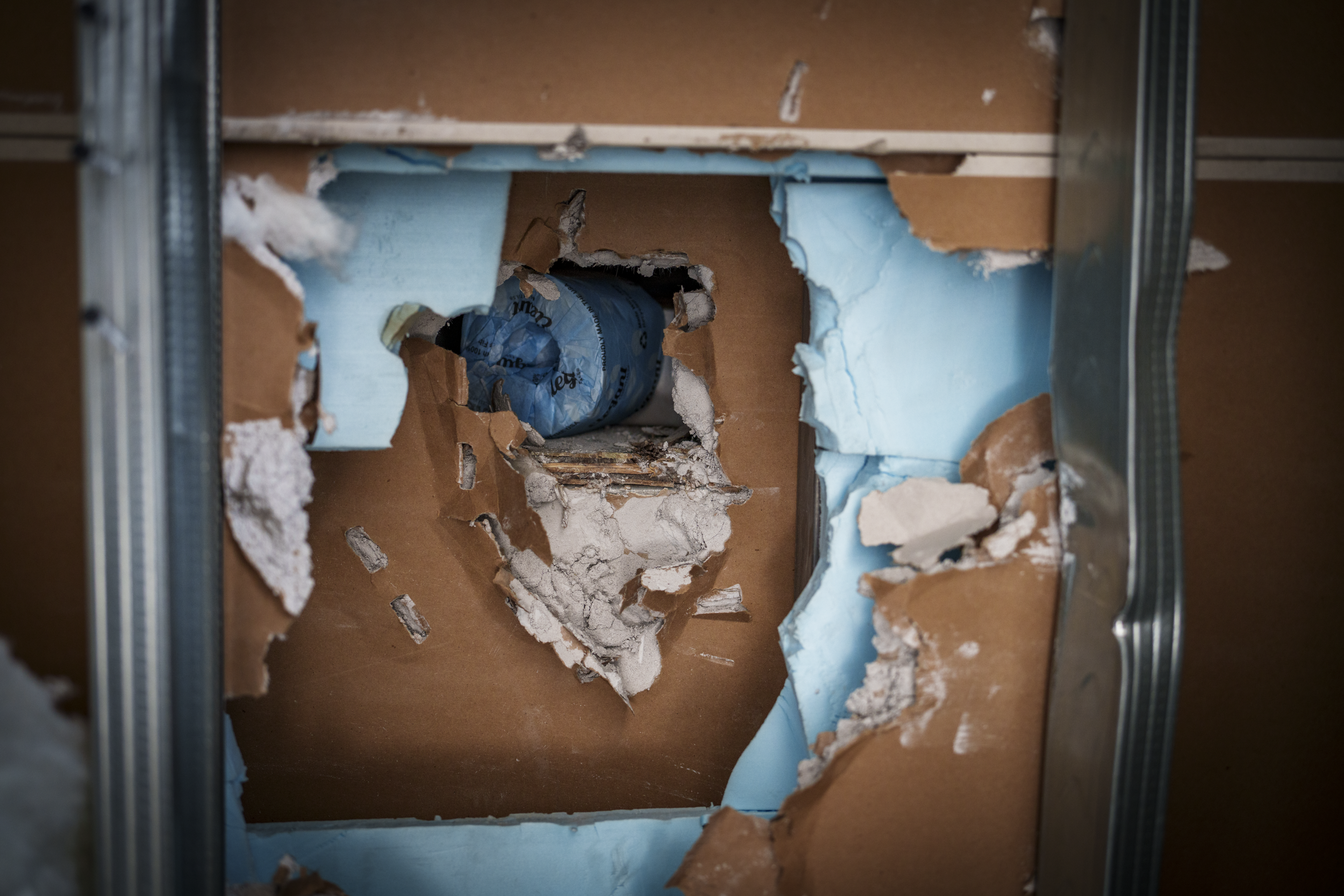 20260828-_DSC4202.png
