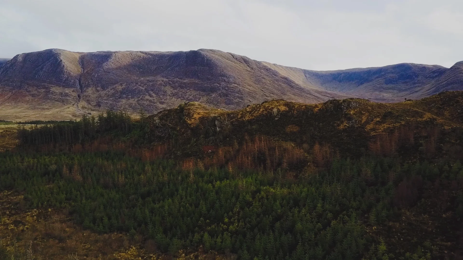 DJI_0030.jpg