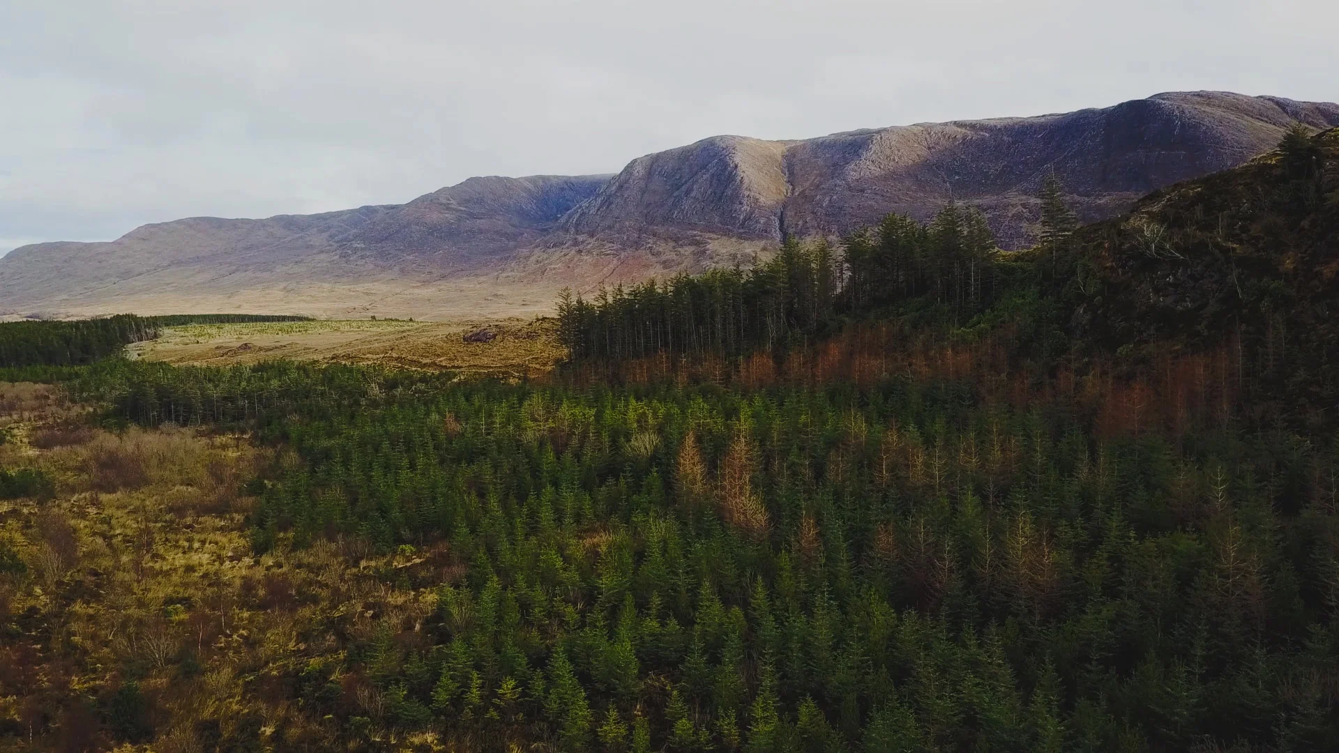 DJI_0031.jpg