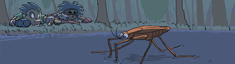 How can a bug stand on the water - Surface Tension
