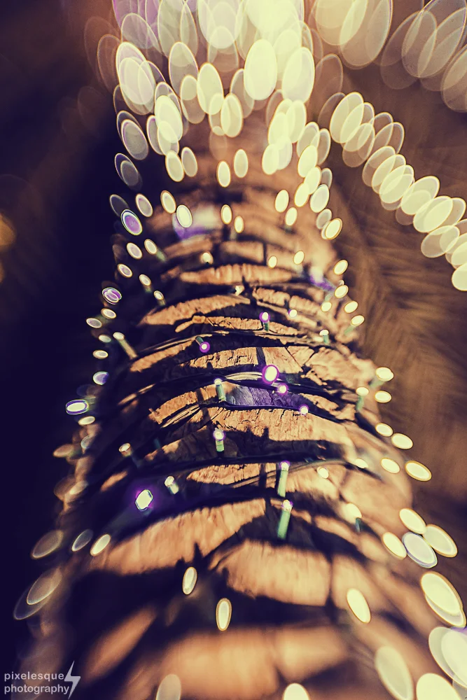 A Tree of Light III