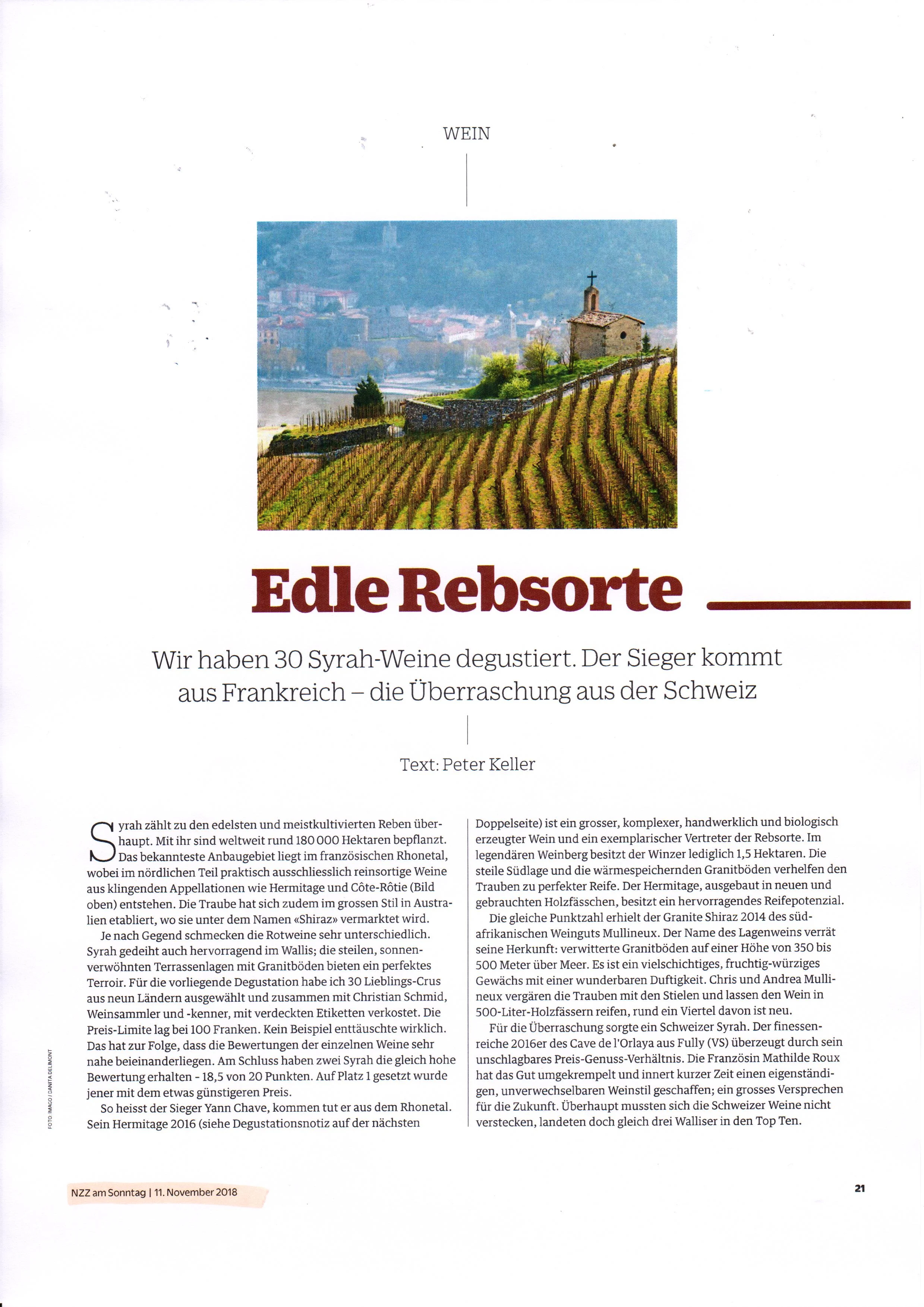 nzz 11.18 (1).jpeg