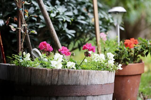colorful pots.jpeg