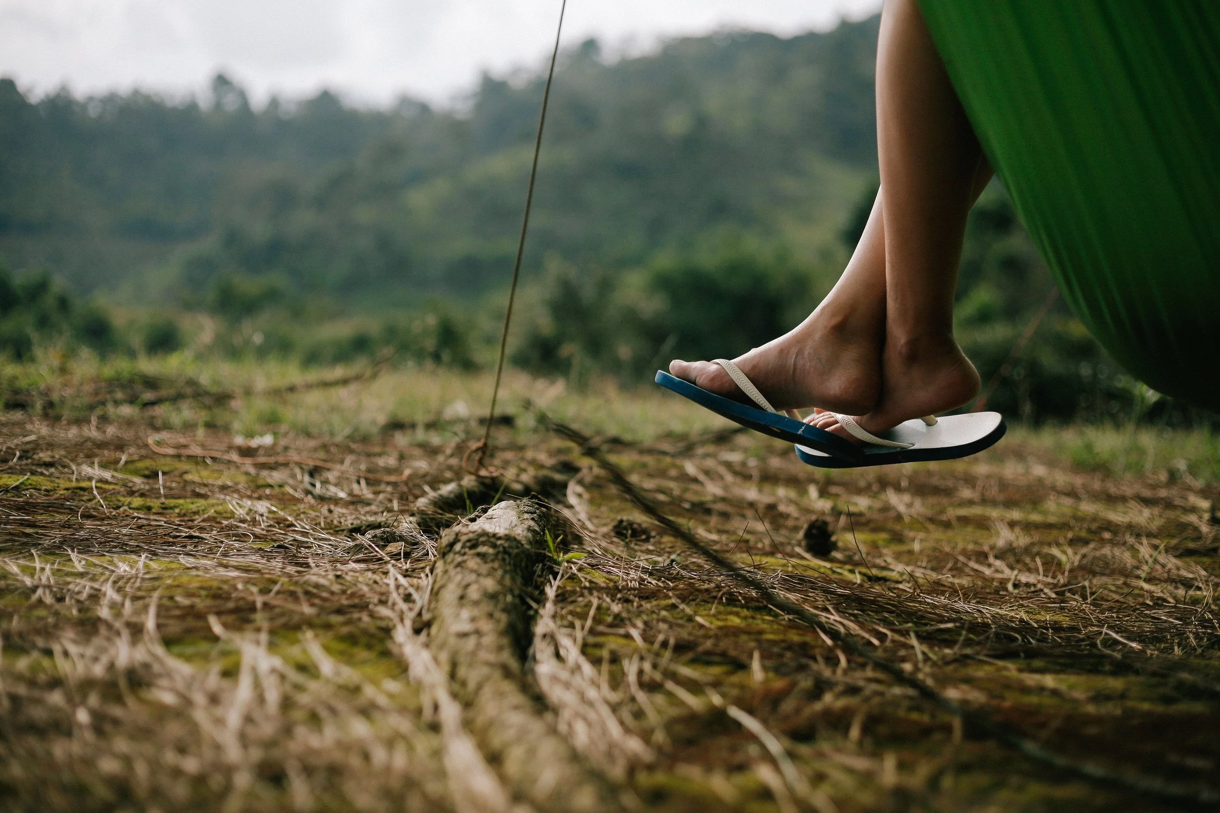 beautiful-field-flip-flops-1036403.jpg