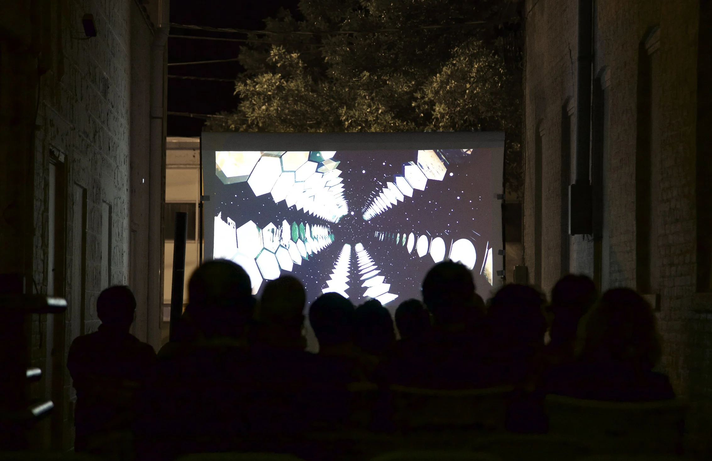 View of audience at Night 2's screening; pictured: Adrián Regnier Chávez, L. , 2016