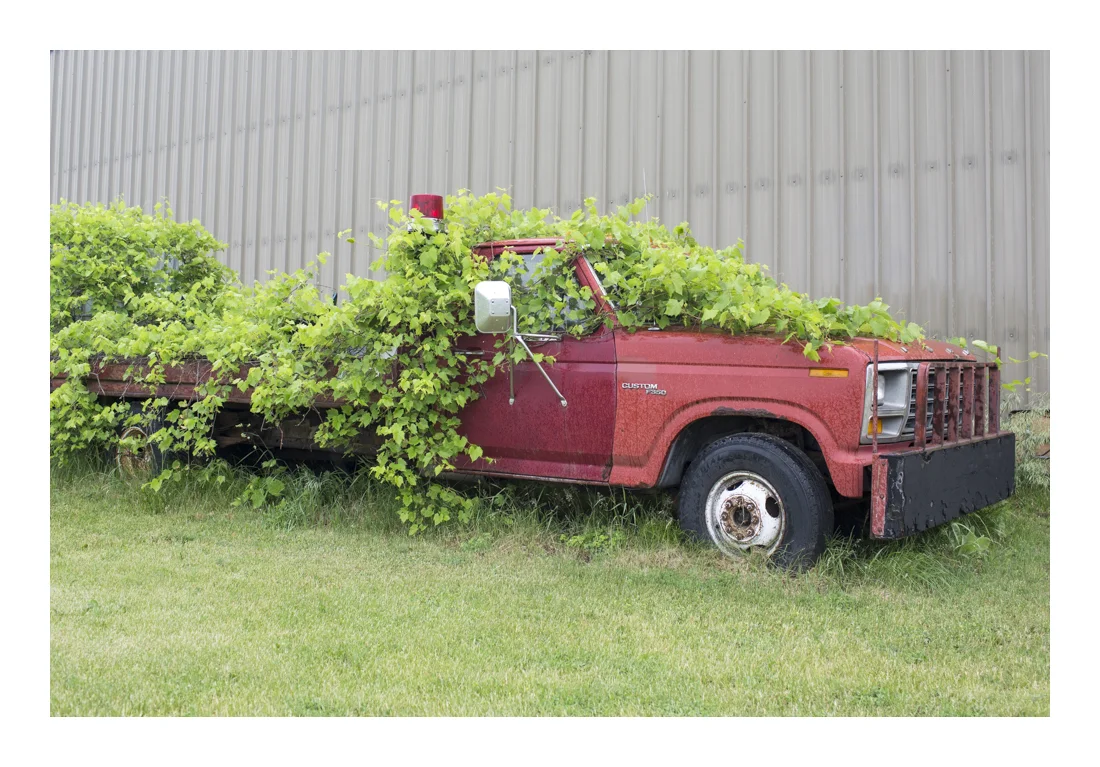 RedTruck1.jpg