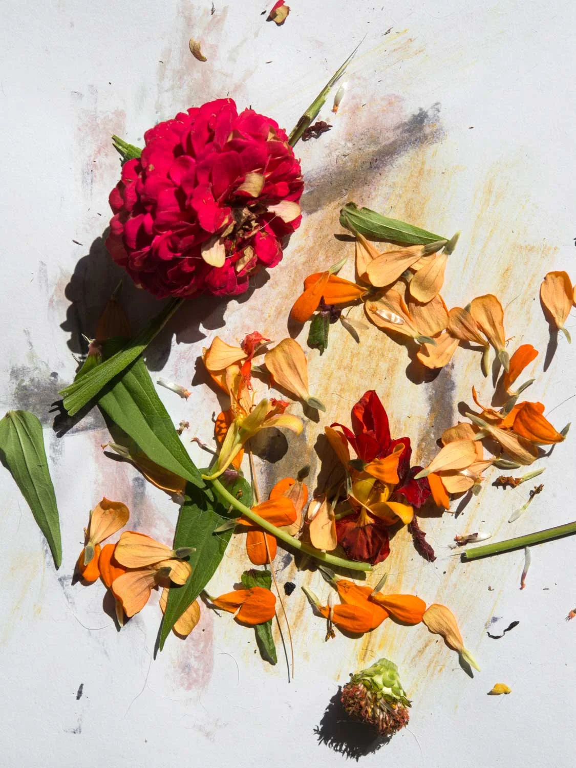 Flowers!.jpg