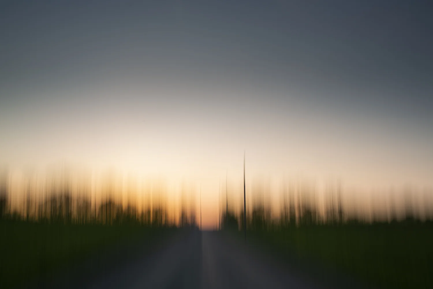 _V4C8293.jpg