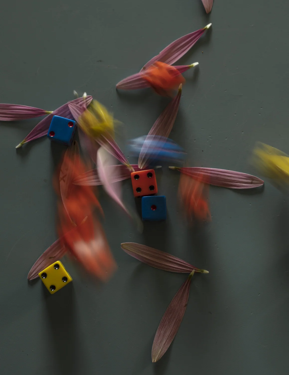 _K3A8151.jpg