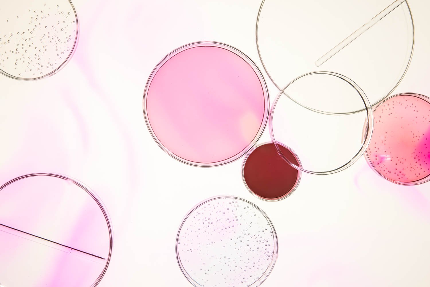 s01_EliLilly_LAYERED-PETRI-DISHES_198_v1.jpg