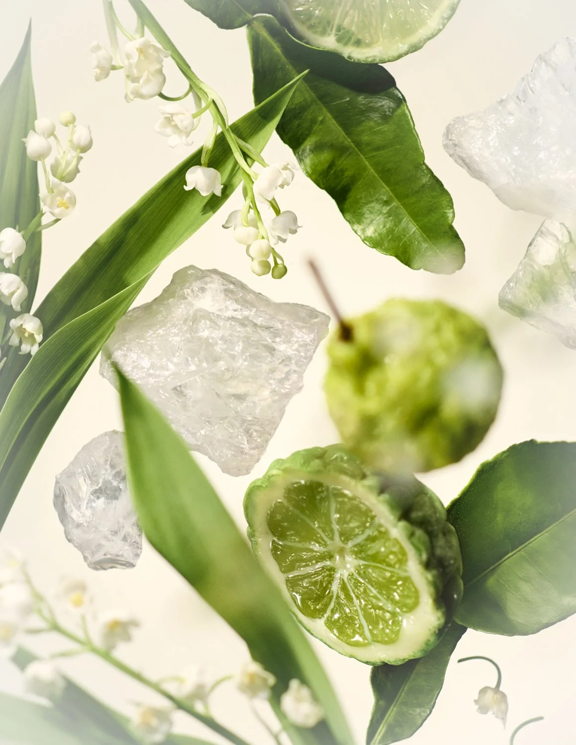 25-06 3248-09C DGN_PHS AG EDT-EDP INGREDIENTS_RGB300.jpg