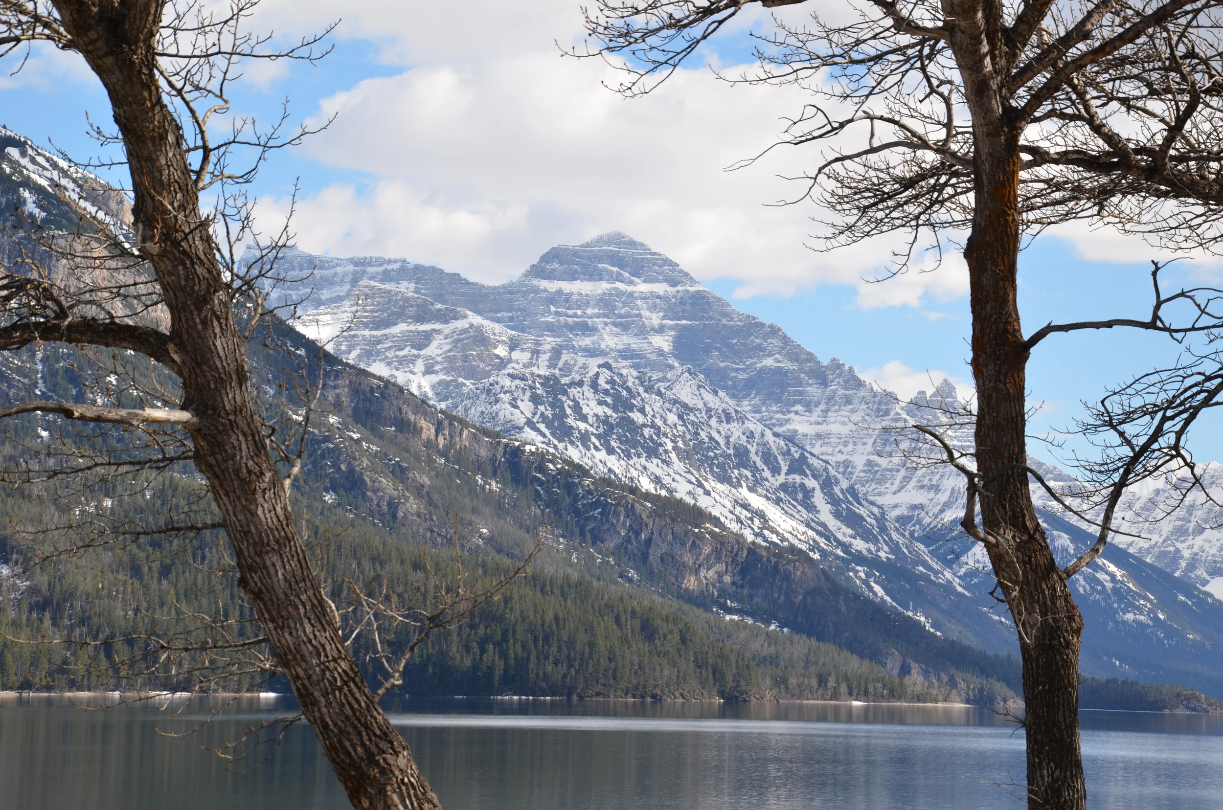 DSC_0405.JPG