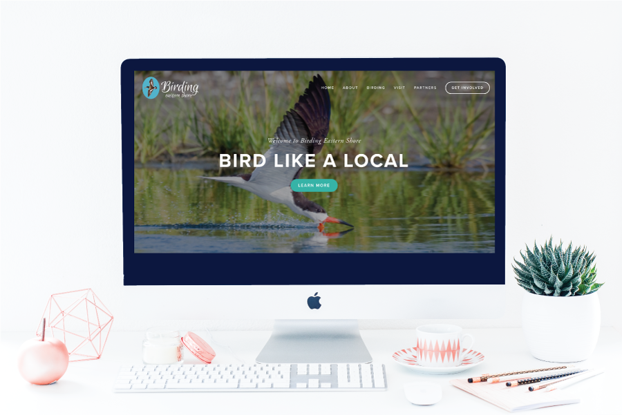 website-design-eastern-shore-of-virginia.png