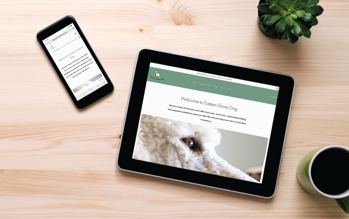 website-design-for-small-businesses-in-virginia.png