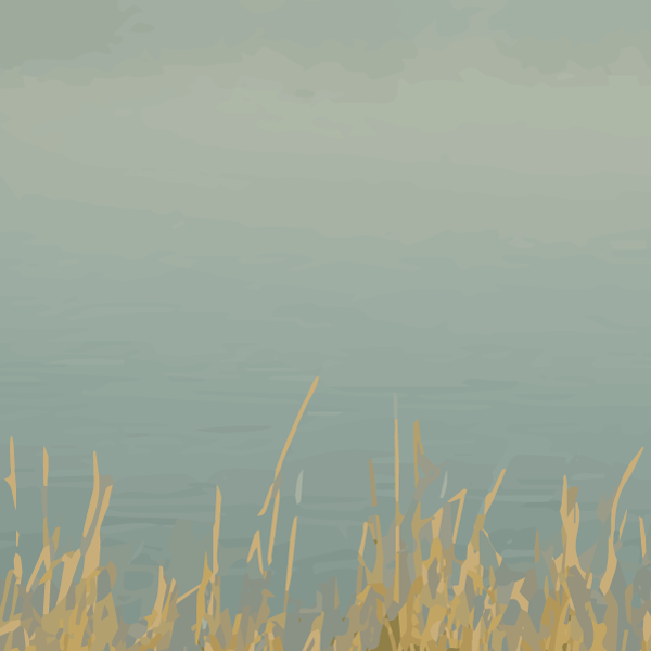 website-designer-in-virginia-beach.png