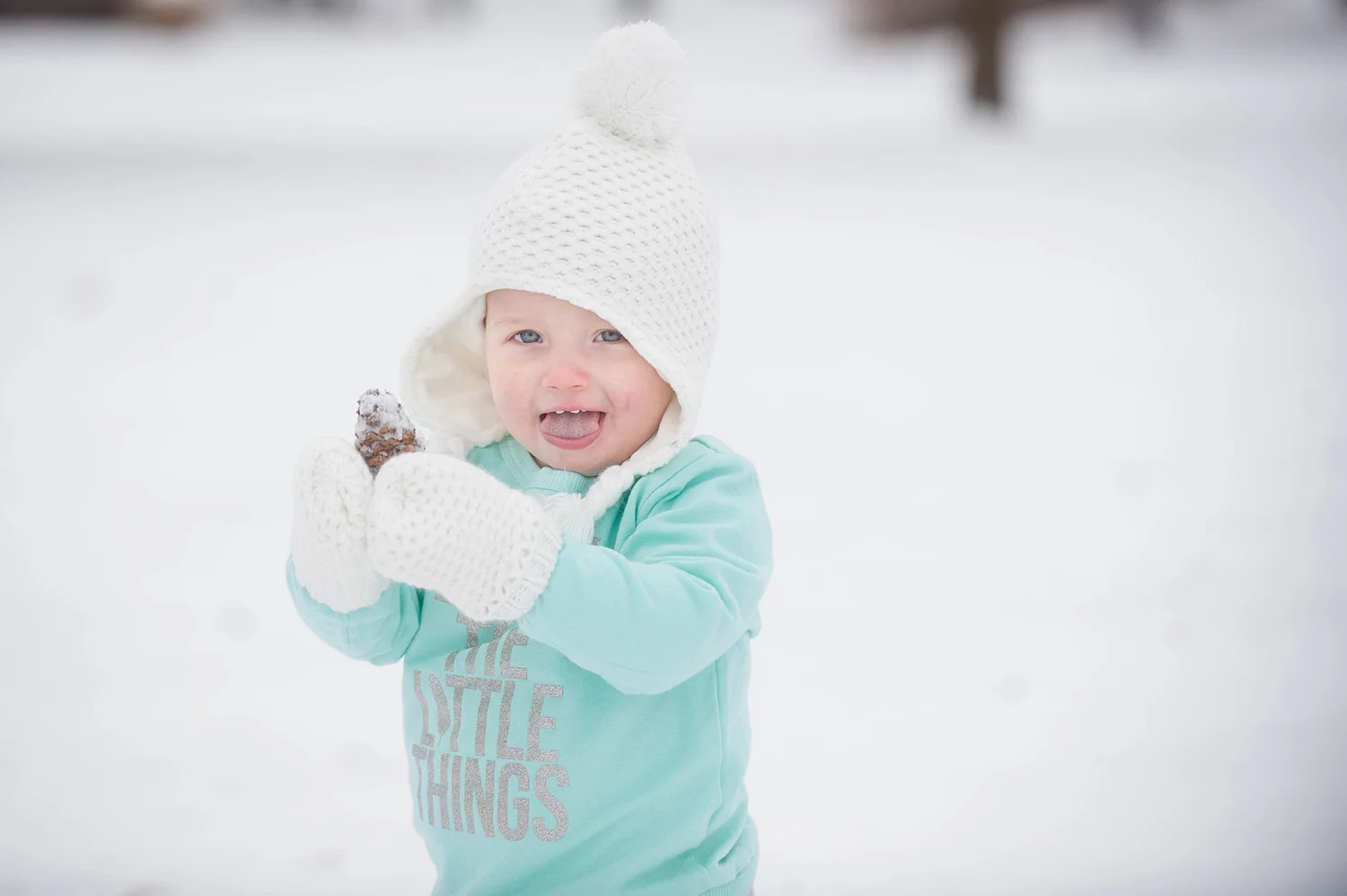Northfield, MN Family Photographer | Holiday Mini Sessions at The Gardens of Castle Rock
