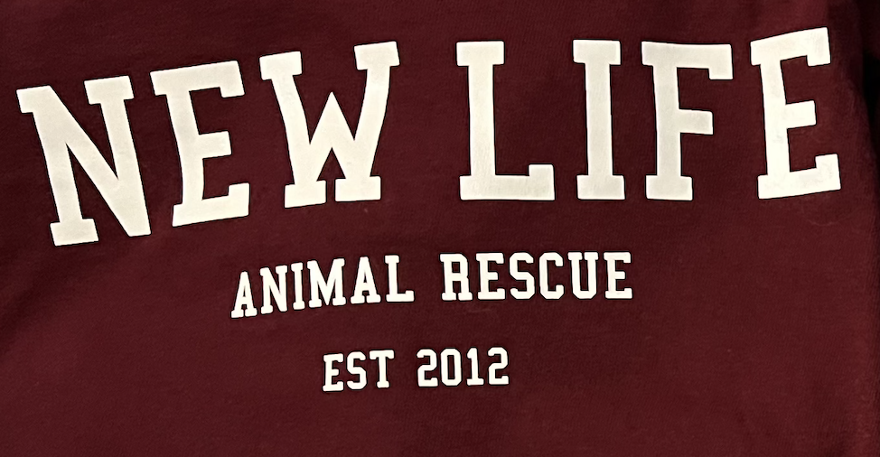 Screenshot 2024-12-11 at 12.05.12 PM.png